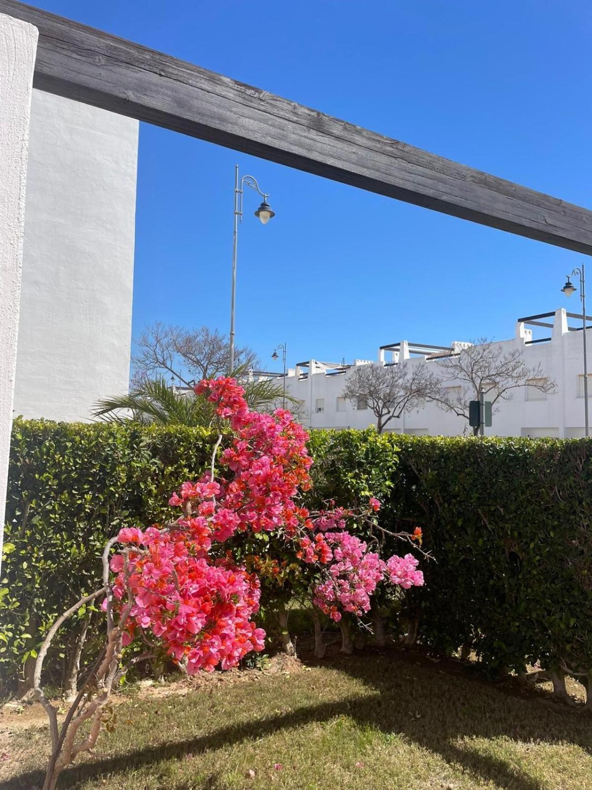 Casa Luisa Jardin 10 Condado De Alhama Apartment Alhama de Murcia Exterior foto